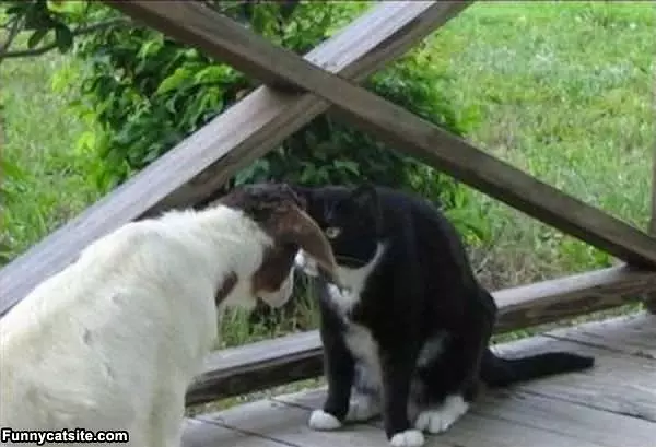 Stand Off