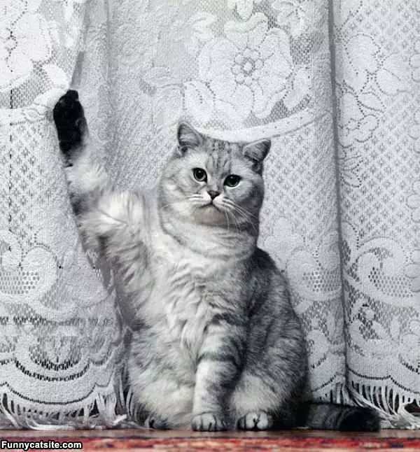 Hand Up