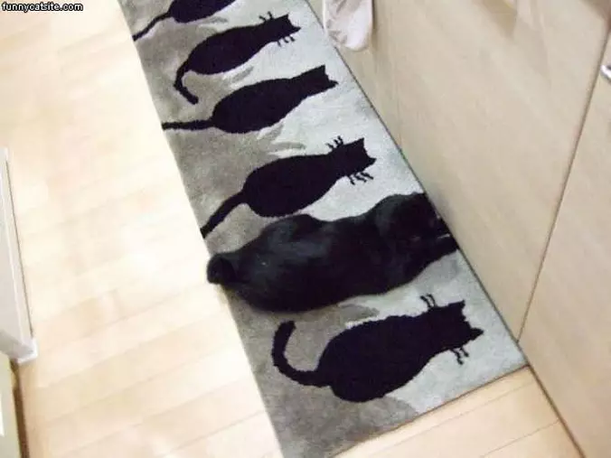 Cant Find Me