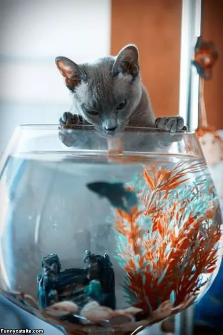 Taking A Sip