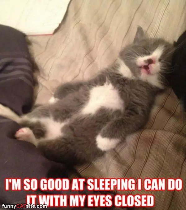 So Good At Sleeping