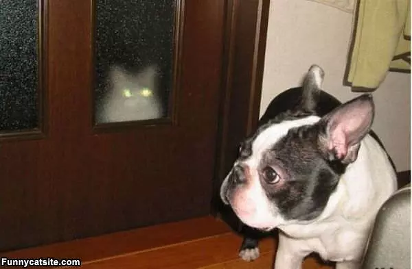 Im Watching
