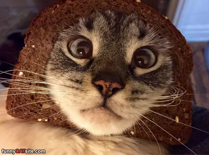 Bready