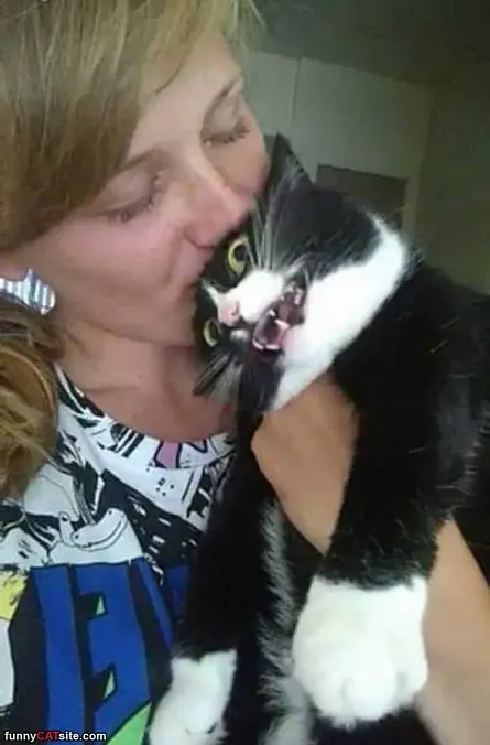 Please No More Kisses