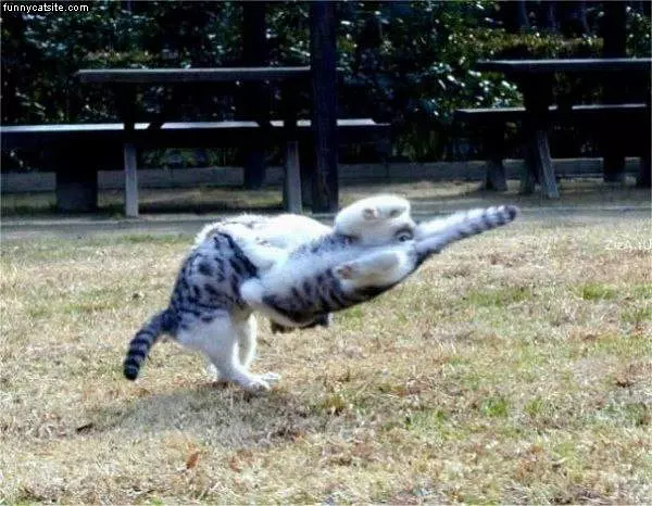 Sideways Ninja Attack
