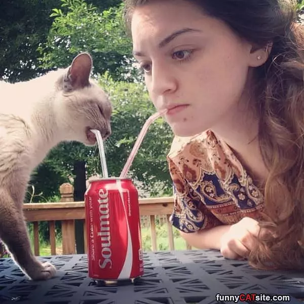 Ill Take A Coke