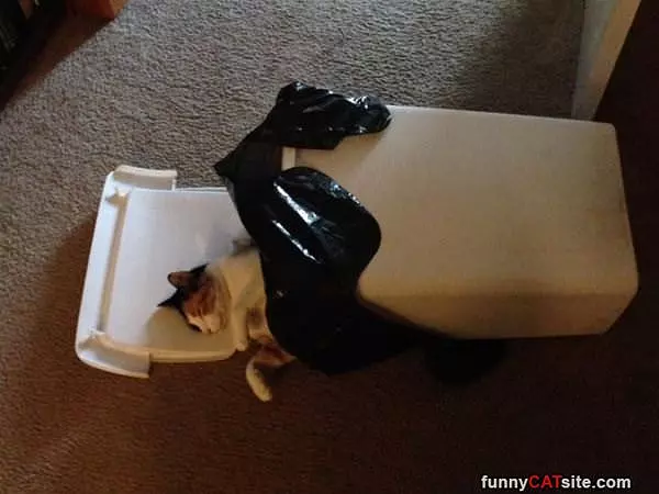 Garbage Is Tiring