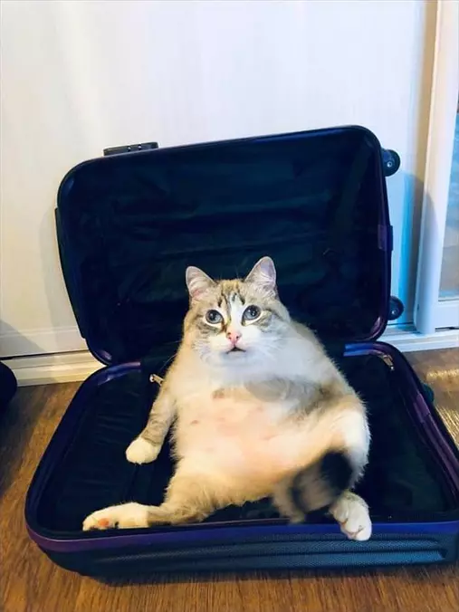 In My Bag