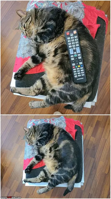Remote Holder