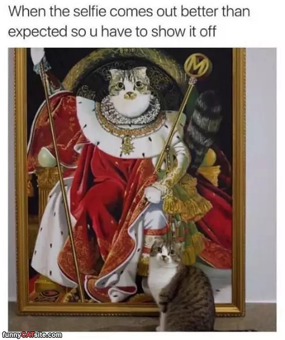 Better Than Expected