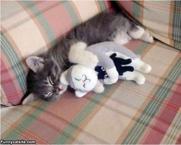 Curled Up