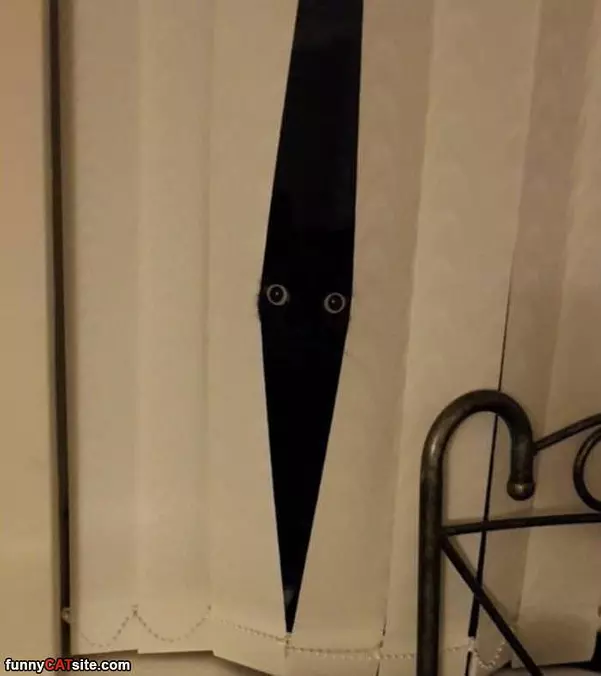 Always Watching