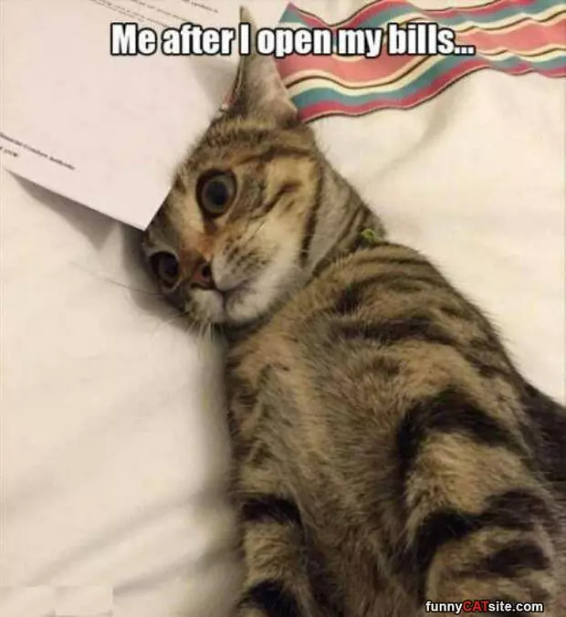 After I Open My Bills