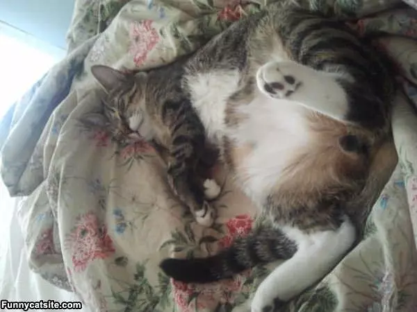 Do Not Disturb Please