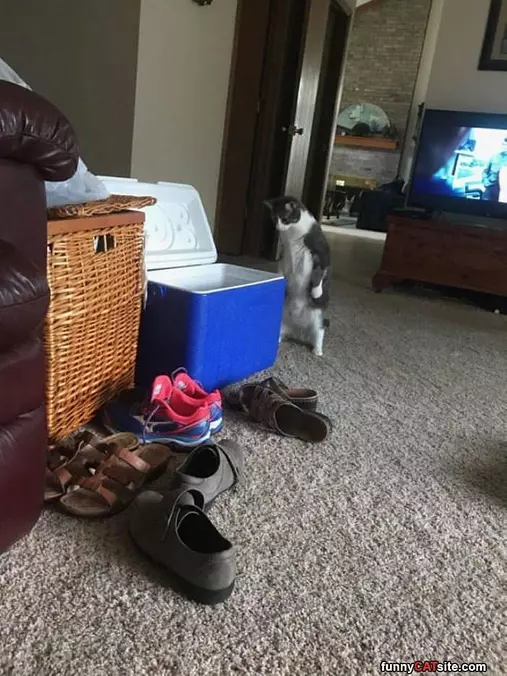What You Doing