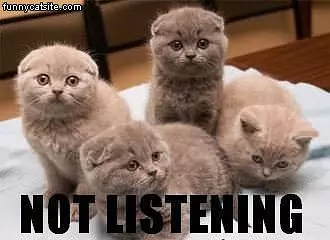 Not Listening