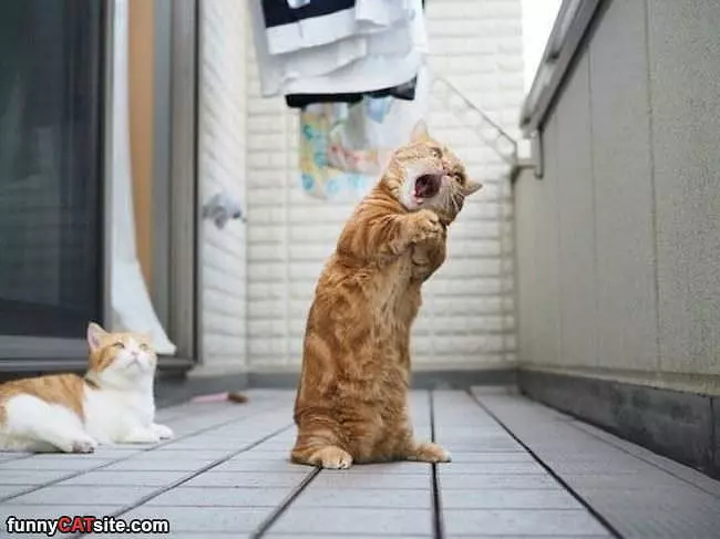 Ooooohhhh