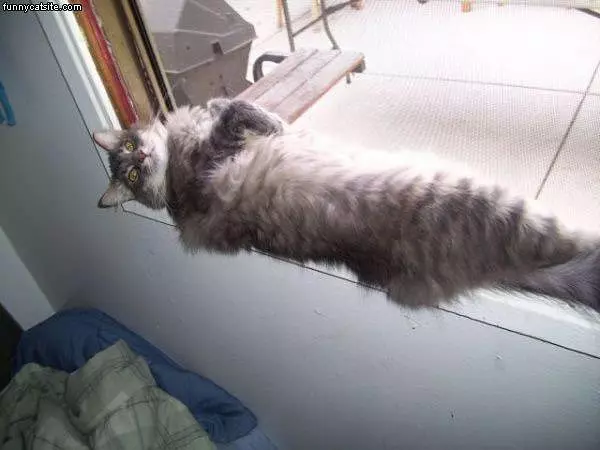 What You Got There