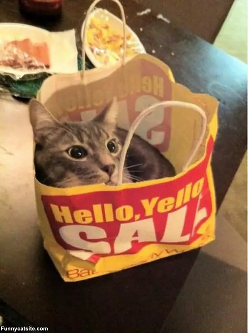 On Sale