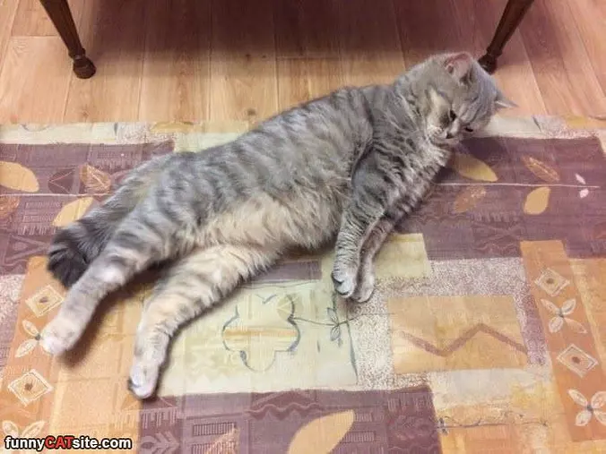 Doing A Yoga Stretch