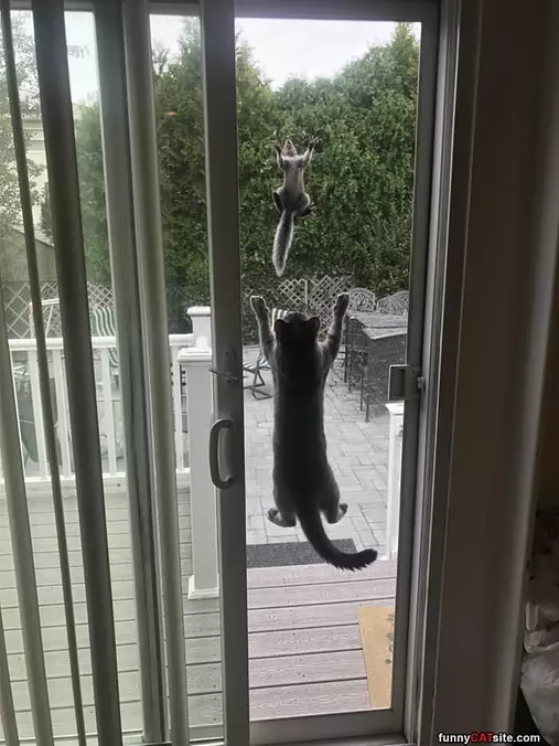 Climbing Buddies