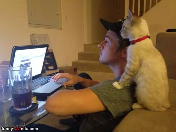 Surfing The Web