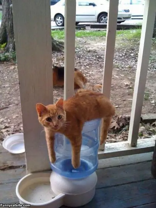 Protecting This Water