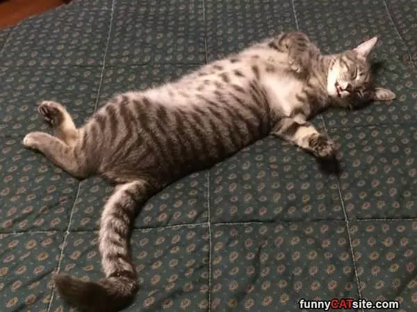 Stretch And Stretch And Stretch