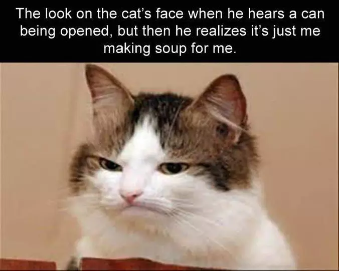 Just Opening Soup