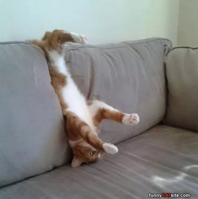 I Is Broken