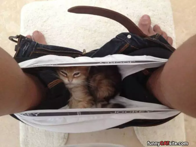 Found A Warm Spot
