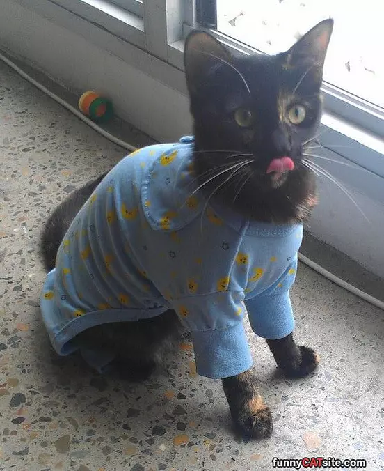 Got My Pajamas Ready