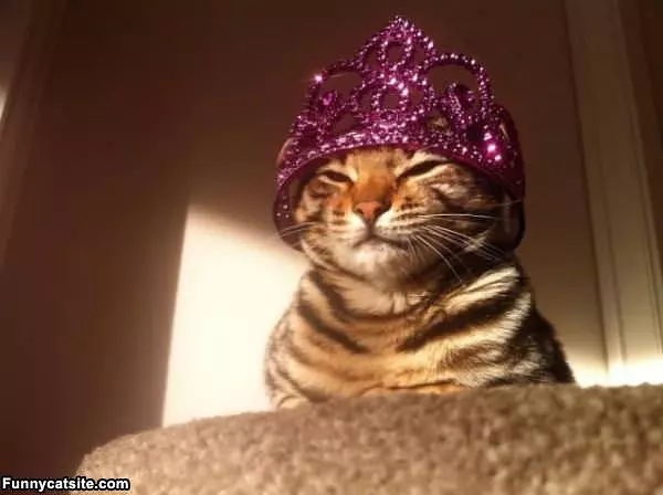 I Am The Queen