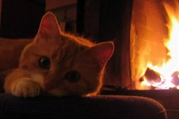 I Want To Play