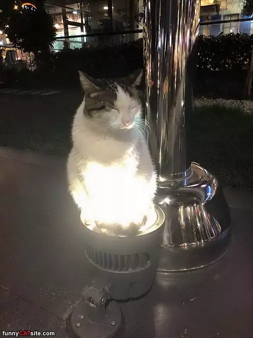 Light Keeping Me Warm