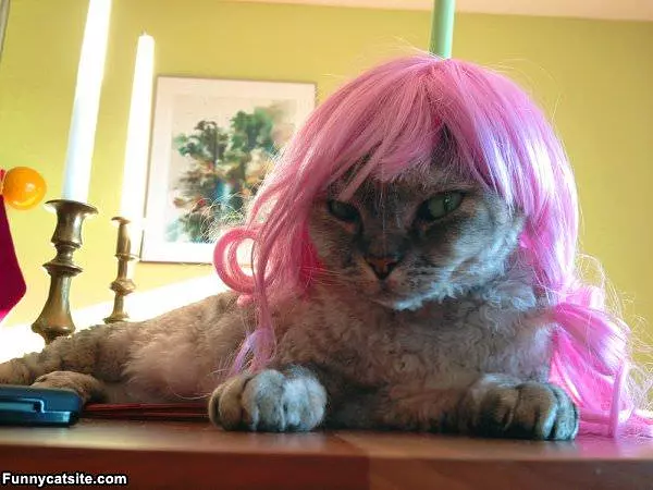 Cute Pink Wig