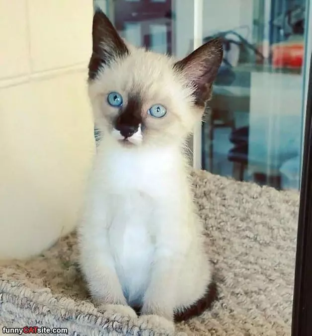 Well Hello There