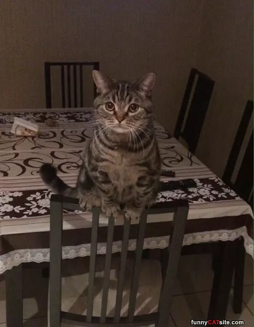 Sitting Up On My Chair