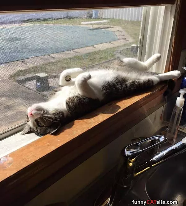 Getting A Tan