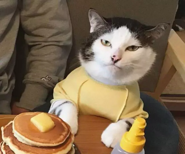 I Love Pancakes