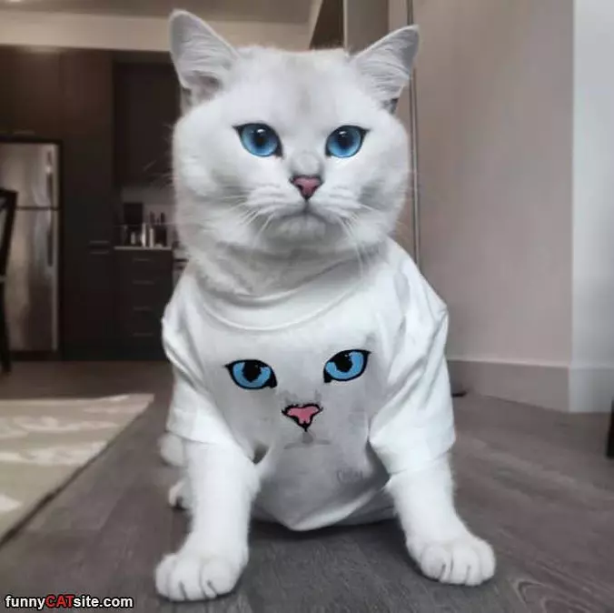 A Shirt Of Me