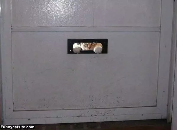 Hey Let Me In