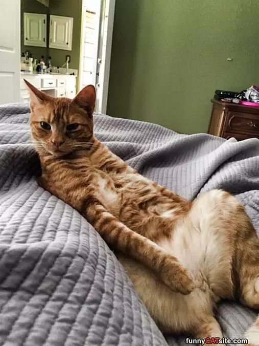My Relaxed Pose