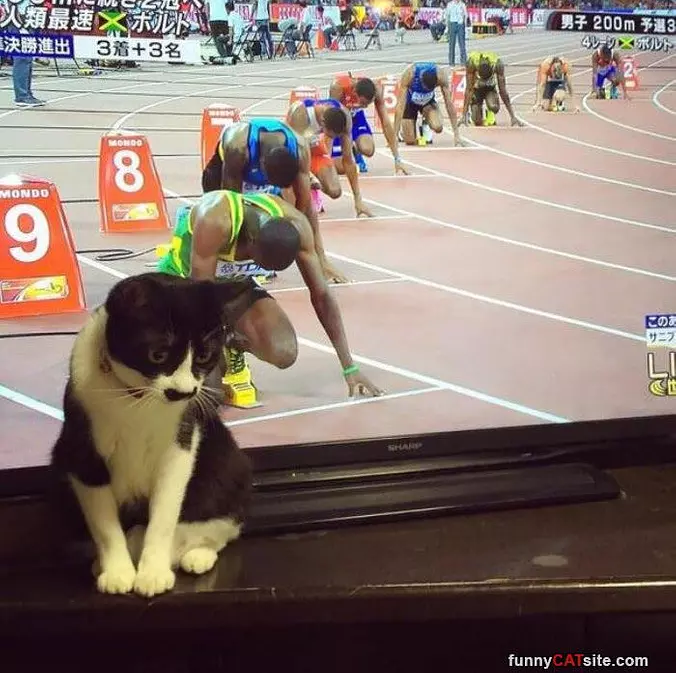 Ready To Race