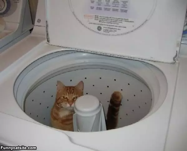 Time To Wash