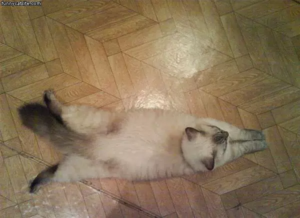 How I Sits