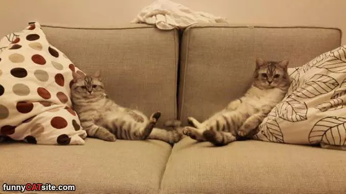 On The Couch
