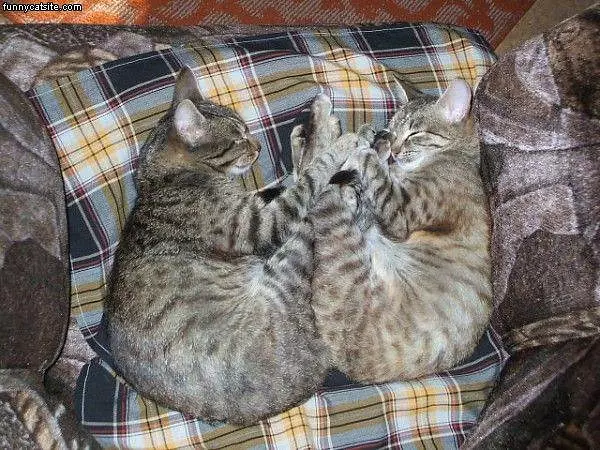 Sleep How We Want