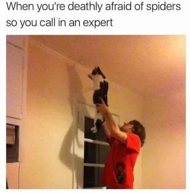 Calling In An Expert