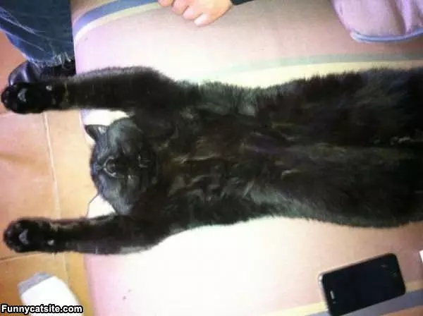 Sprawled Out